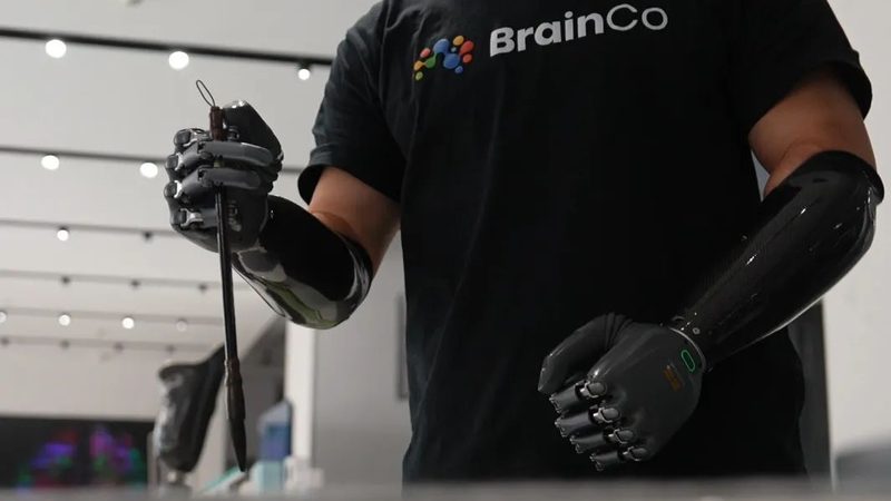 数据治理标准规范制定：关键步骤与案例分析
